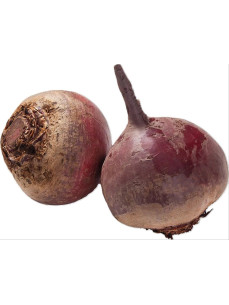 Буряк молодий