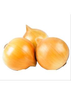 Цибуля Біла