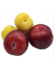 Слива в асортименті, кг