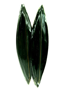 Бамбукове листя 183 гр