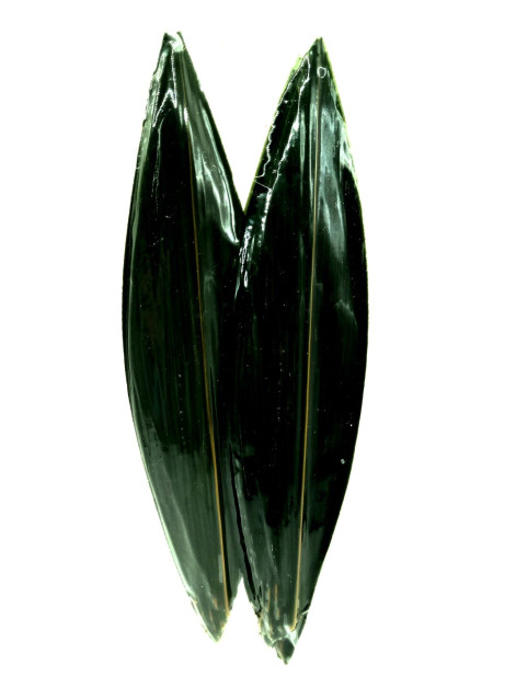 Бамбукове листя 183 гр