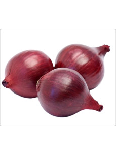 Цибуля синя